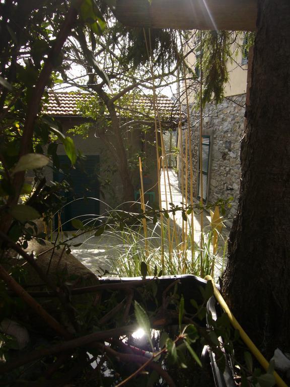 Farm stay Agriturismo Olivarancio *