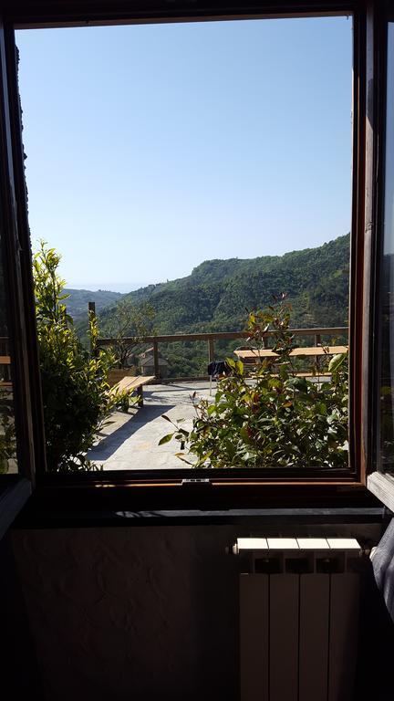 Alloggio per agriturismo Olivarancio *